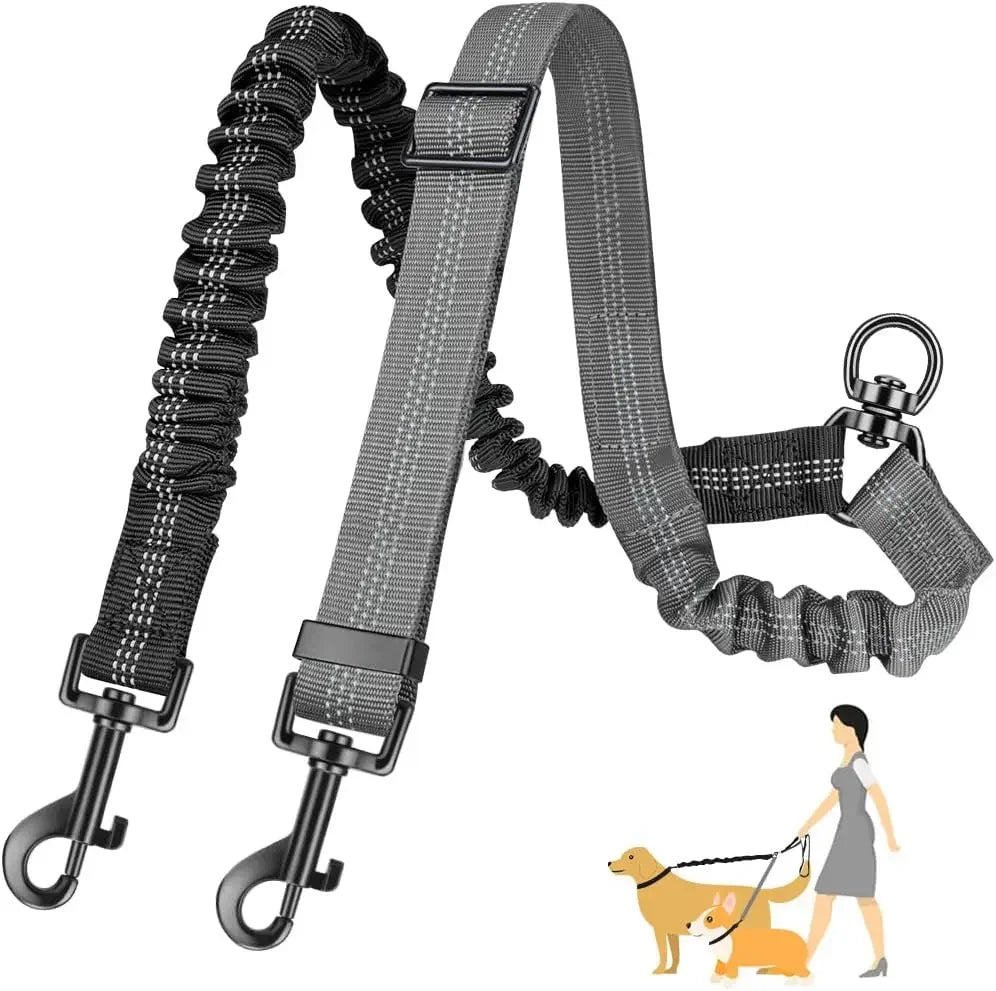 Dual Dog Leash with Shock-Absorbing Bungee (16 ft)