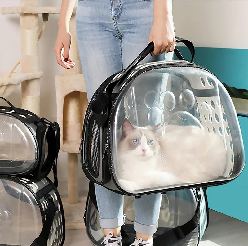 A woman holds a clear, foldable pet travel carrier with a black shoulder strap, featuring a fluffy white cat inside.