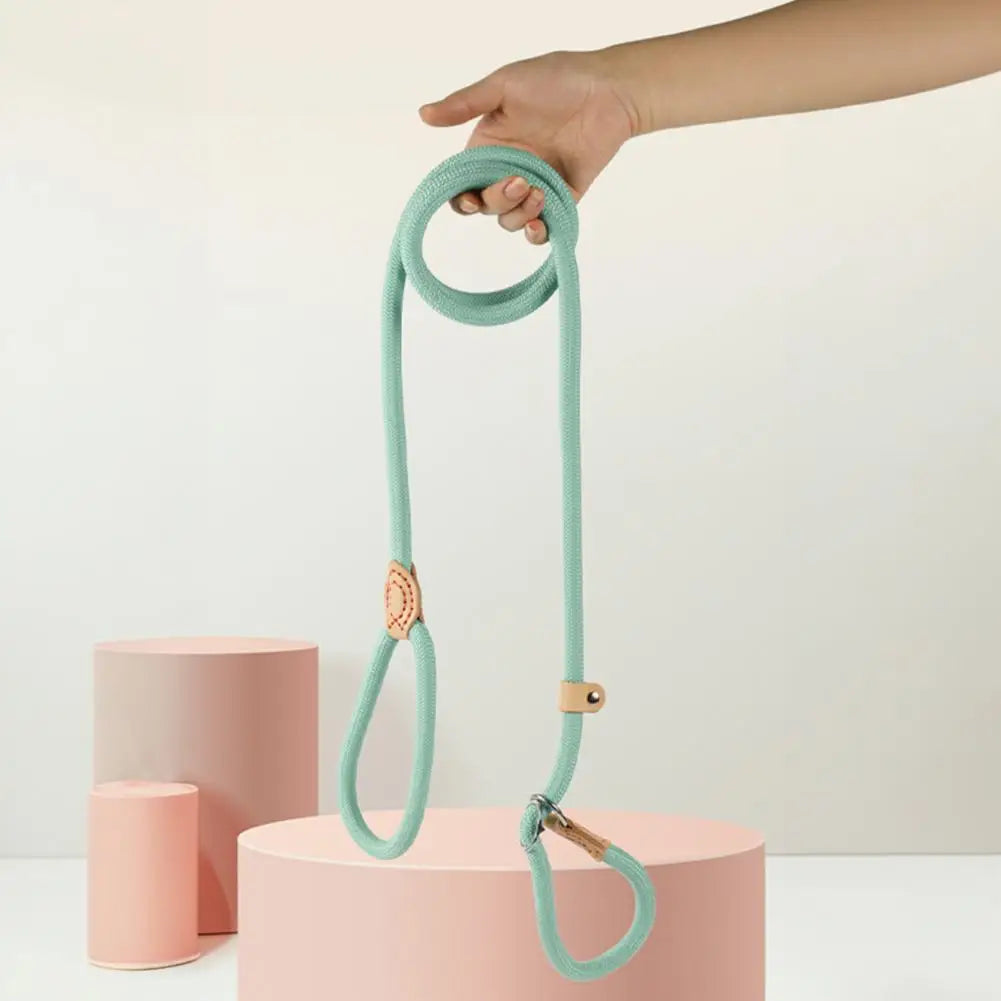 A hand is holding a light mint green slip lead dog leash with an adjustable stopper, positioned above pink cylindrical object
