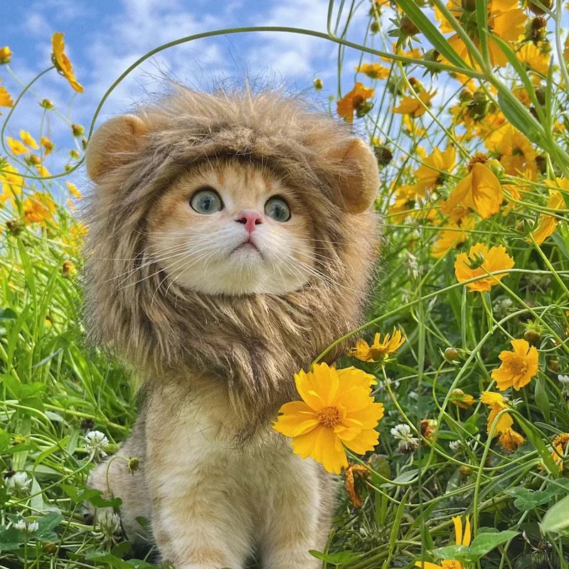 Sombrero de Melena de León para Mascotas