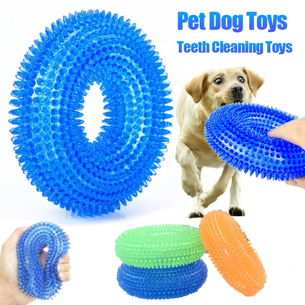 Jouet à mâcher qui grince pour chien, durable