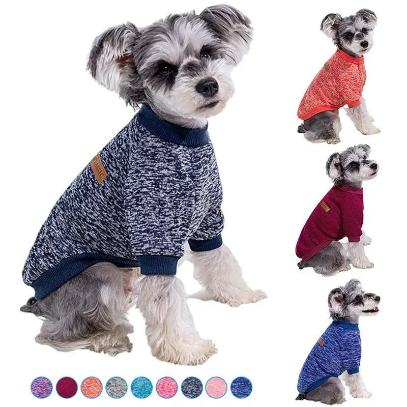 A small dog wearing a knitted blue and white winter jacket with a reddish-orange collar.