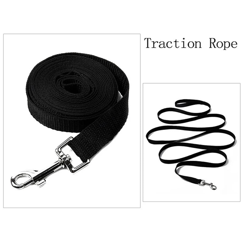 Stabile Nylon-Hundeleine