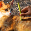 Kit de 3 Piezas para la Eliminación de Garrapatas y Pulgas en Mascotas