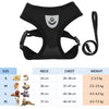 Black adjustable harness for cats and small dogs with a leash.