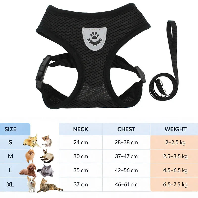 Black adjustable harness for cats and small dogs with a leash.
