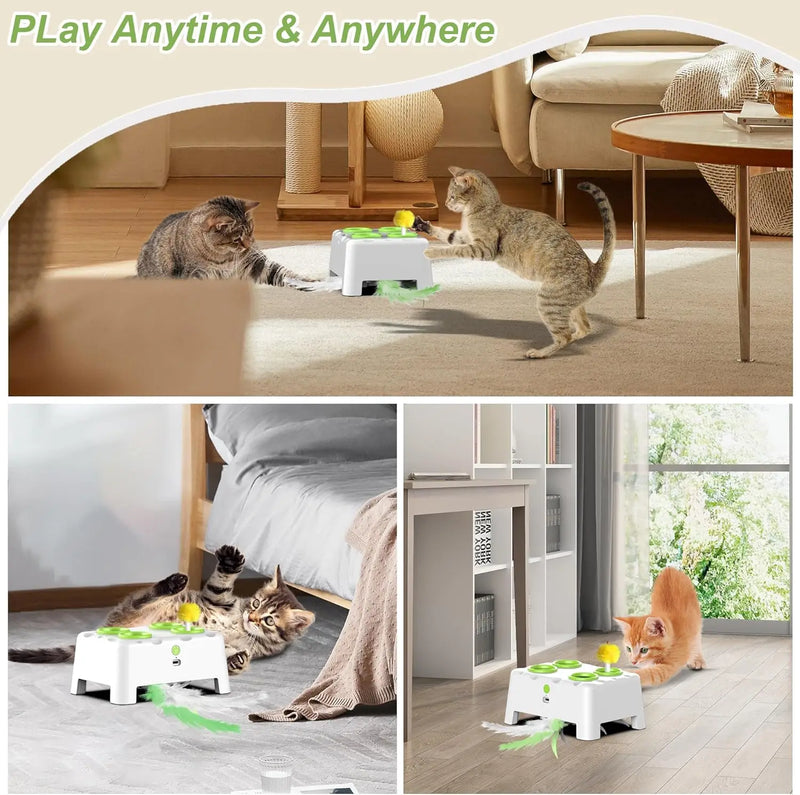 Automatisches Whack-a-Mole Katzenspielzeug mit wiederaufladbarem Akku