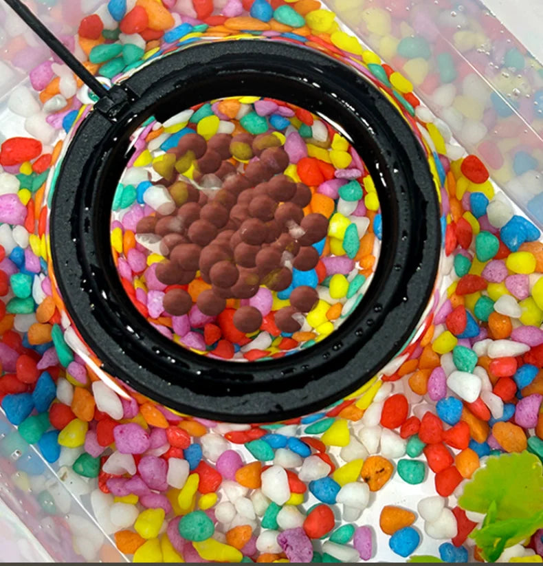 Anillo de Alimentación para Acuario con Ventosa