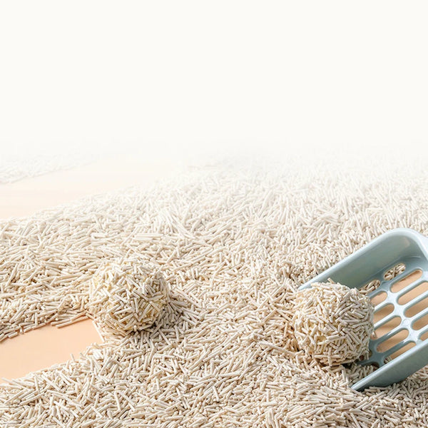 A pile of natural corn starch cat litter with some balls visible on a light surface.