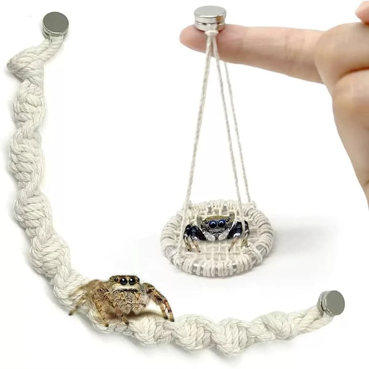 Un pont de corde blanc pour araignées sauteuses et crabes hermites tenu par une main.