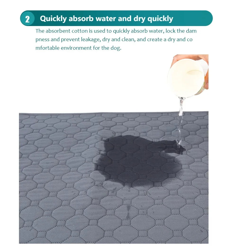 Tiertrainingsmatte mit dunkler Fleck auf der Oberfläche, die Wasser aufnahmefähigkeit demonstriert.