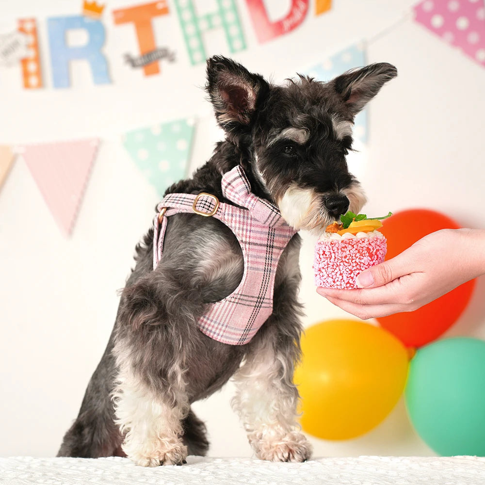 Classic Plaid Dog Collar, Harness & Leash Set with Bowtie