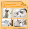 Multi-Level Cat Puzzle Track Toy