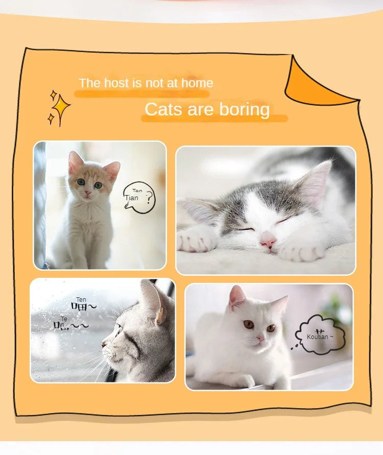 Multi-Level Cat Puzzle Track Toy