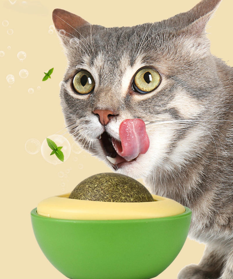 Jouet à la mélisse pour chat, monté au mur et rotatif