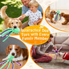 A family interacts with dog toys, including a plush dog toy and a squeaky octopus toy.