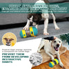 Interaktiver Leckerli-Spender-Ball für Hunde