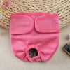 Reusable Dog Diapers for Heat Cycles and Incontinence
