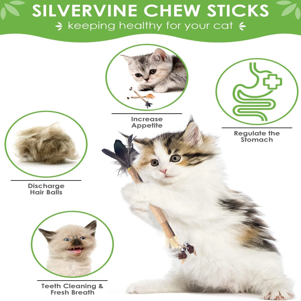 Natural Silvervine Cat Chew Sticks for Dental Care & Play