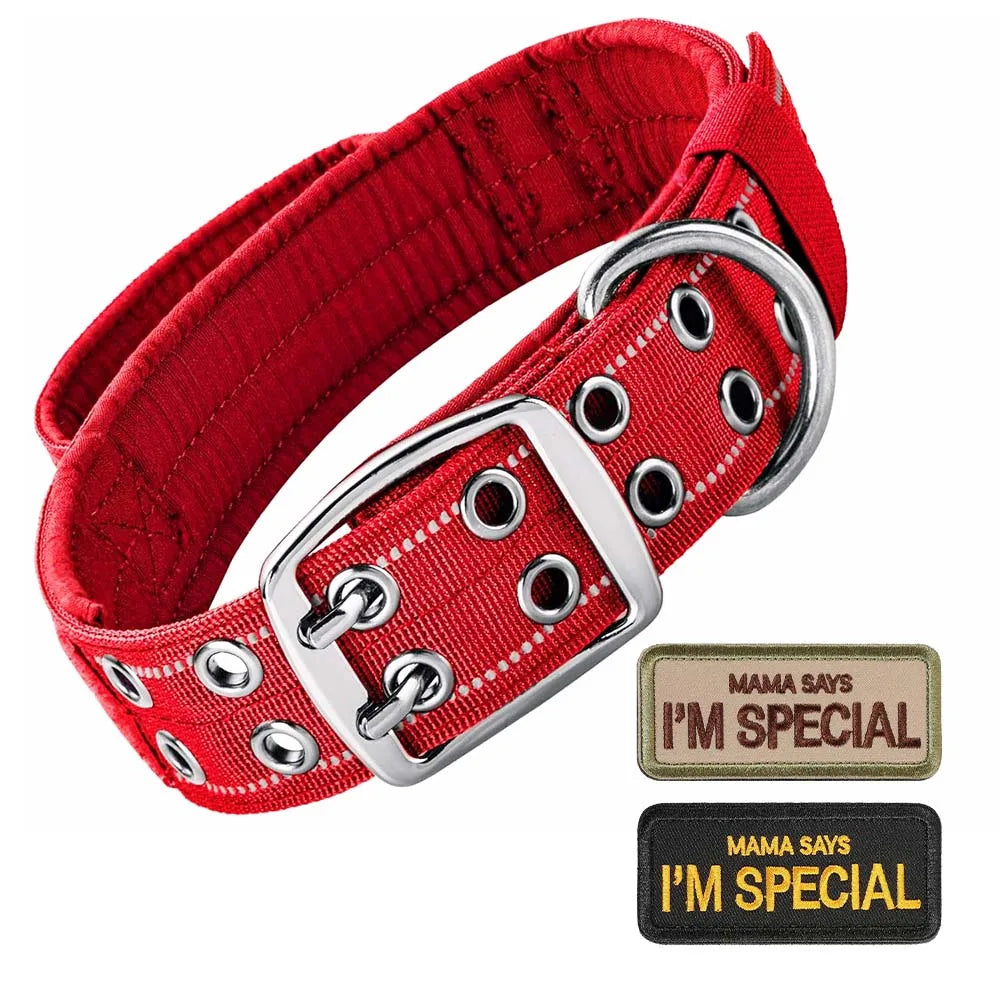 Red tactical dog collar with silver buckle and a tag that says I'm special