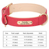Personalisiertes Leder-Hundehalsband mit graviertem ID-Tag