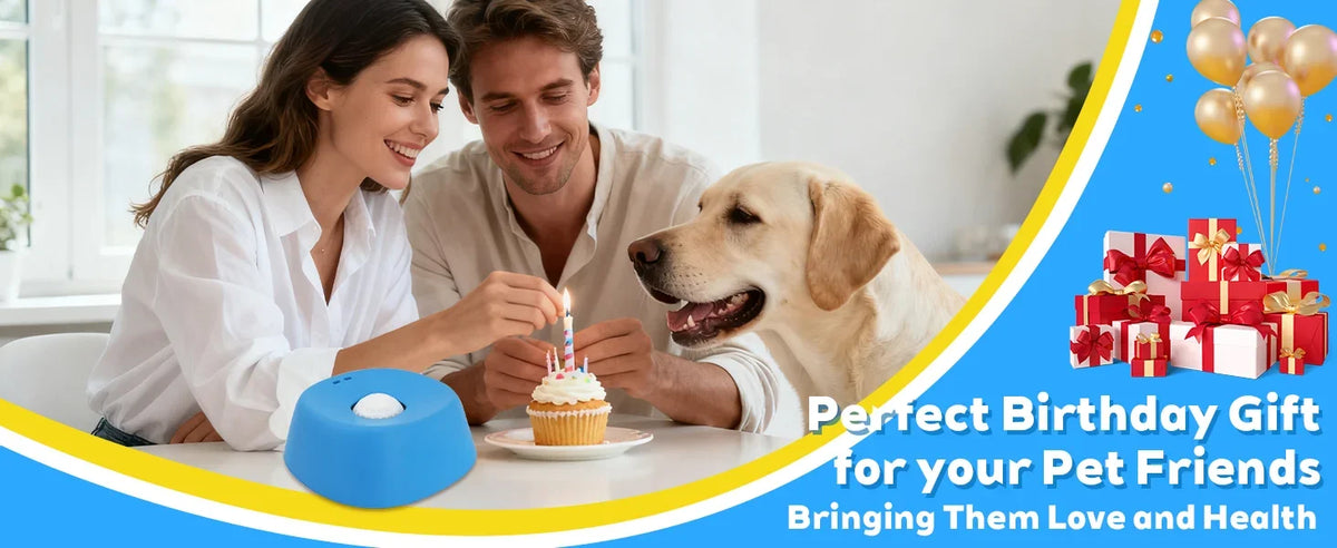 A woman and man are feeding a dog a treat from a spill-resistant lick bowl.