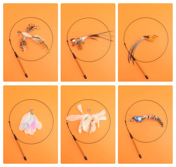 Four images showing different styles of interactive feather wand cat toys with various feathers and movements.