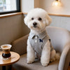 A white poodle wearing a gray polo shirt sitting on a light-colored chair.