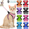 A set of nine colorful adjustable pet harnesses and leashes displayed next to a cat.