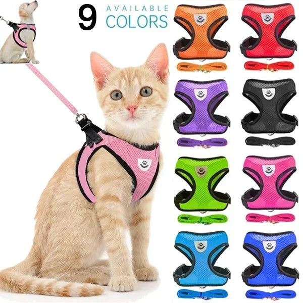 A set of nine colorful adjustable pet harnesses and leashes displayed next to a cat.