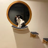 Wall-Mounted Cat Hammock and Climbing Stairs with Scratcher