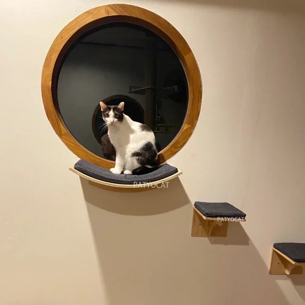 Wall-Mounted Cat Hammock and Climbing Stairs with Scratcher