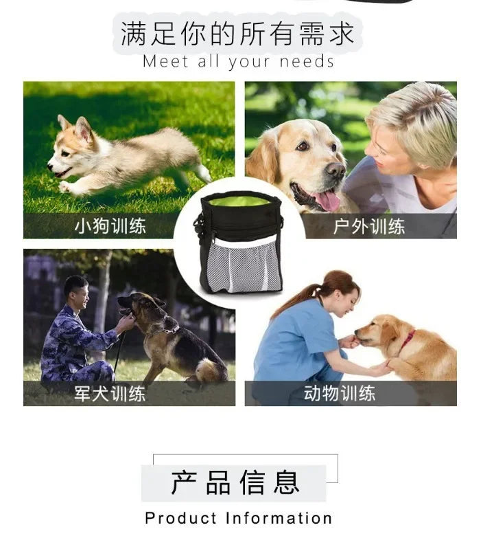 Sammlung von Hundetrainingsgürteln und Zubehör, darunter ein kleiner Hund, ein Golden Retriever und ein Deutscher Schäferhund