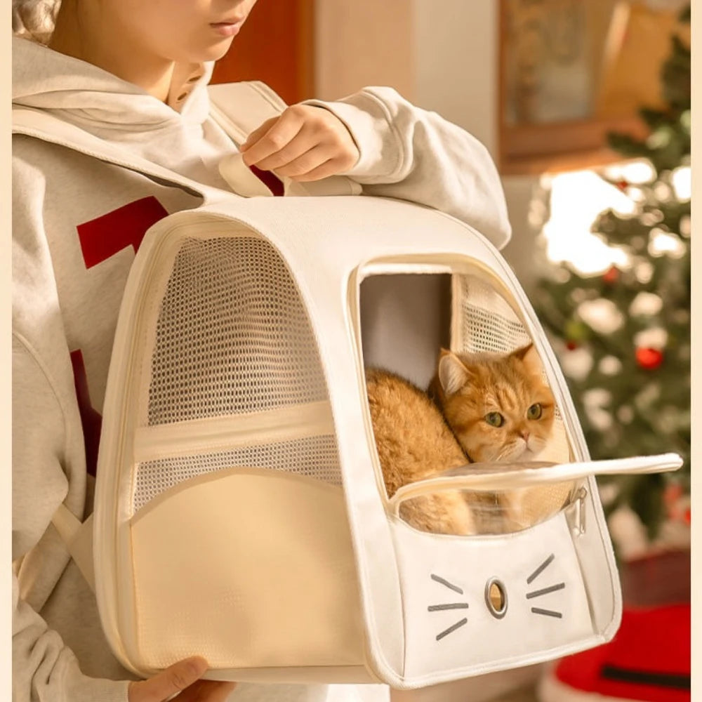 Eine Person hält einen weißen, faltbaren Transportrucksack für Haustiere mit transparentem Fenster, darin ist eine kleine ora