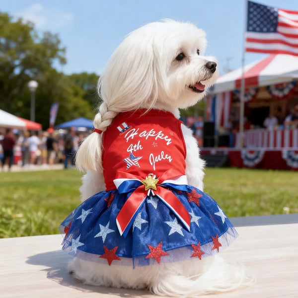 A white dog wearing a patriotic red, white, and blue mesh dress with stars and stripes, sitting outdoors.