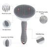 Brosse Anti-Dérapante Auto-Nettoyante pour Animaux