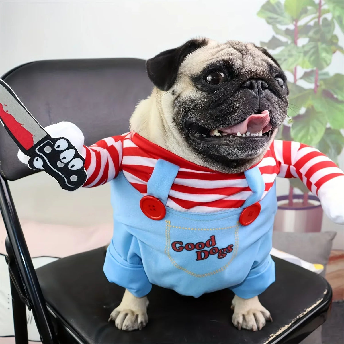 A pug wearing a blue Halloween costume with red stripes and a knife accessory.