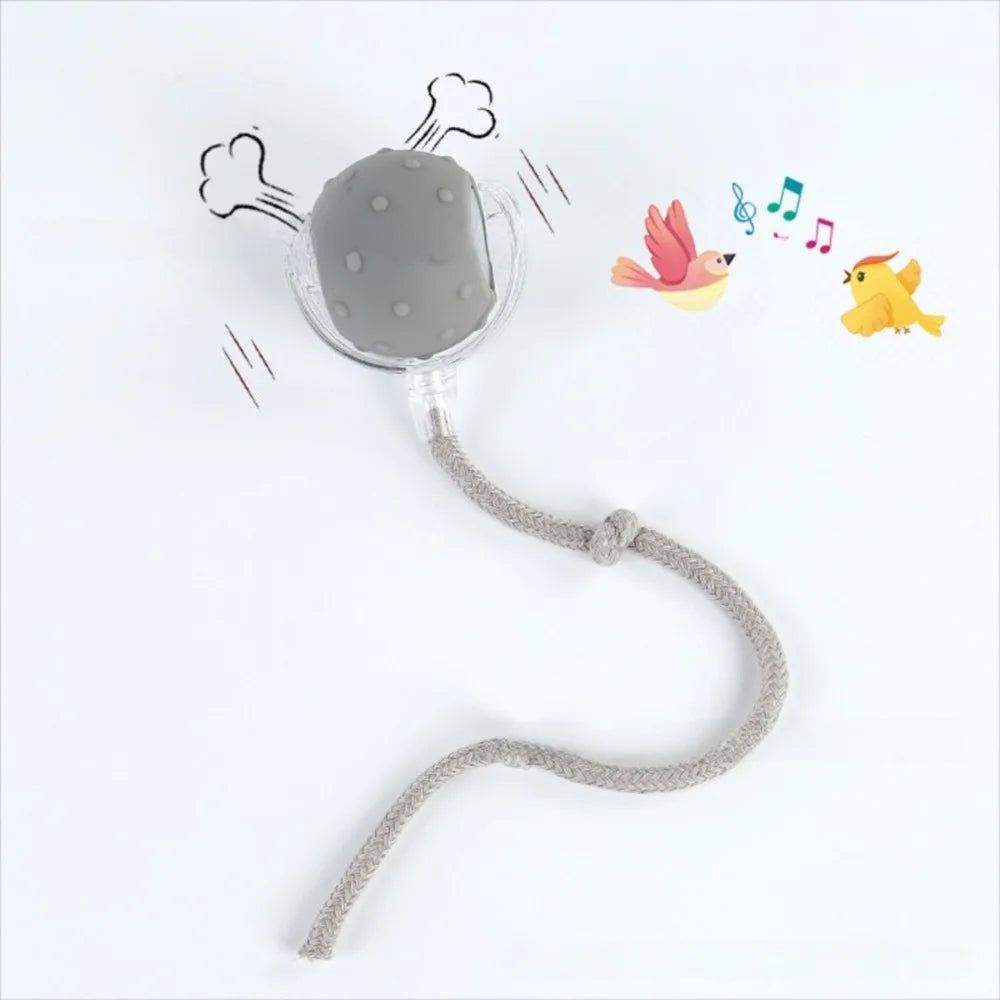 Interactive Rolling Cat Toy with Bird Sounds and Three Play Modes