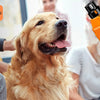 Rechargeable 6-Speed Dog Nail Grinder – Quiet & Painless Paw Care