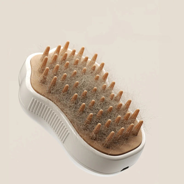 3 in 1 Pet Brush with Steam for Cats and Dogs