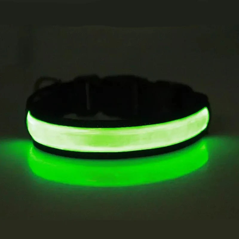 A black dog collar with a bright green LED glow illuminating the surface below.