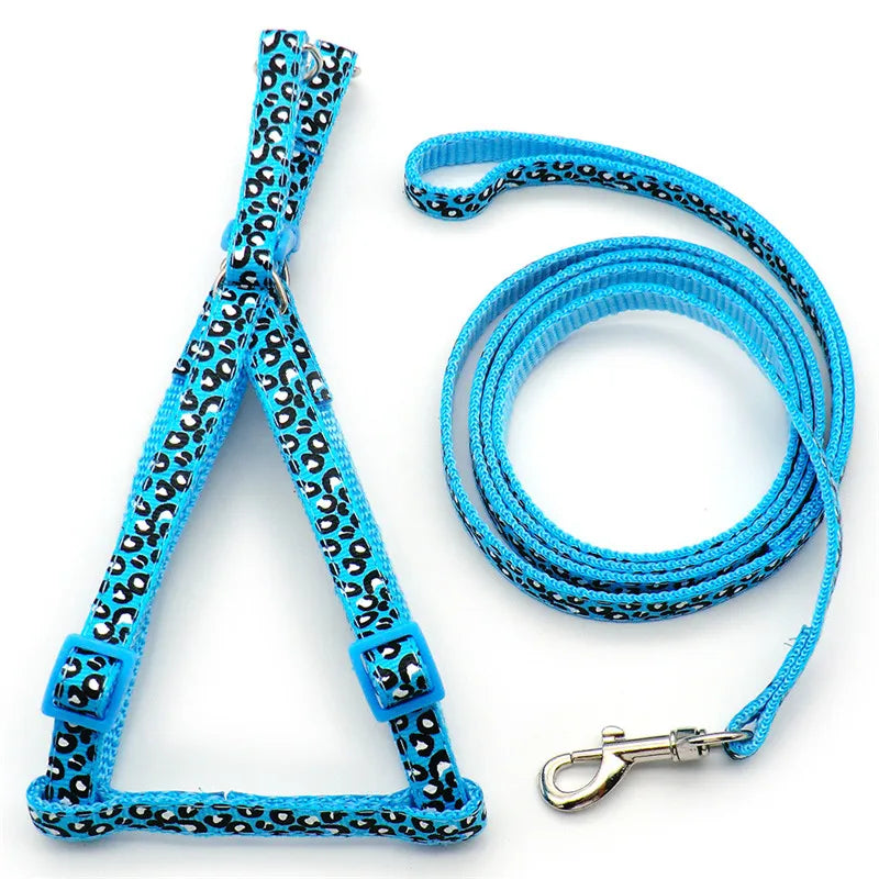 A bright blue patterned dog harness and leash set for walking small pets outdoors.
