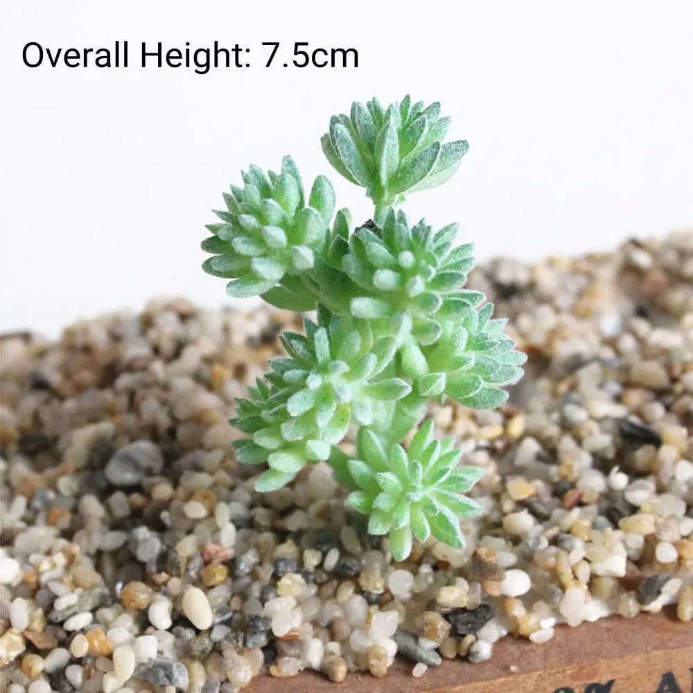 A small, green fake succulent plant growing in light-colored gravel on a wooden surface.