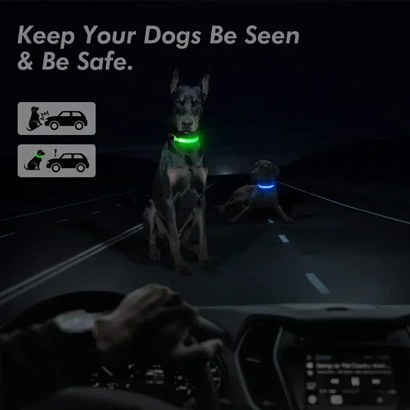 Wiederaufladbare LED-Hundehalsband für Nachtsicherheit