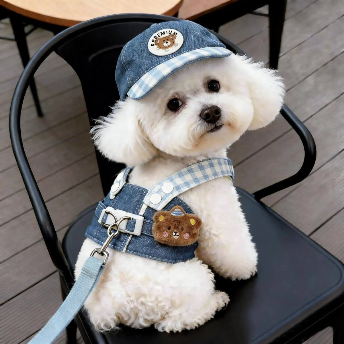 Cartoon Dog Harness Vest with Matching Leash
