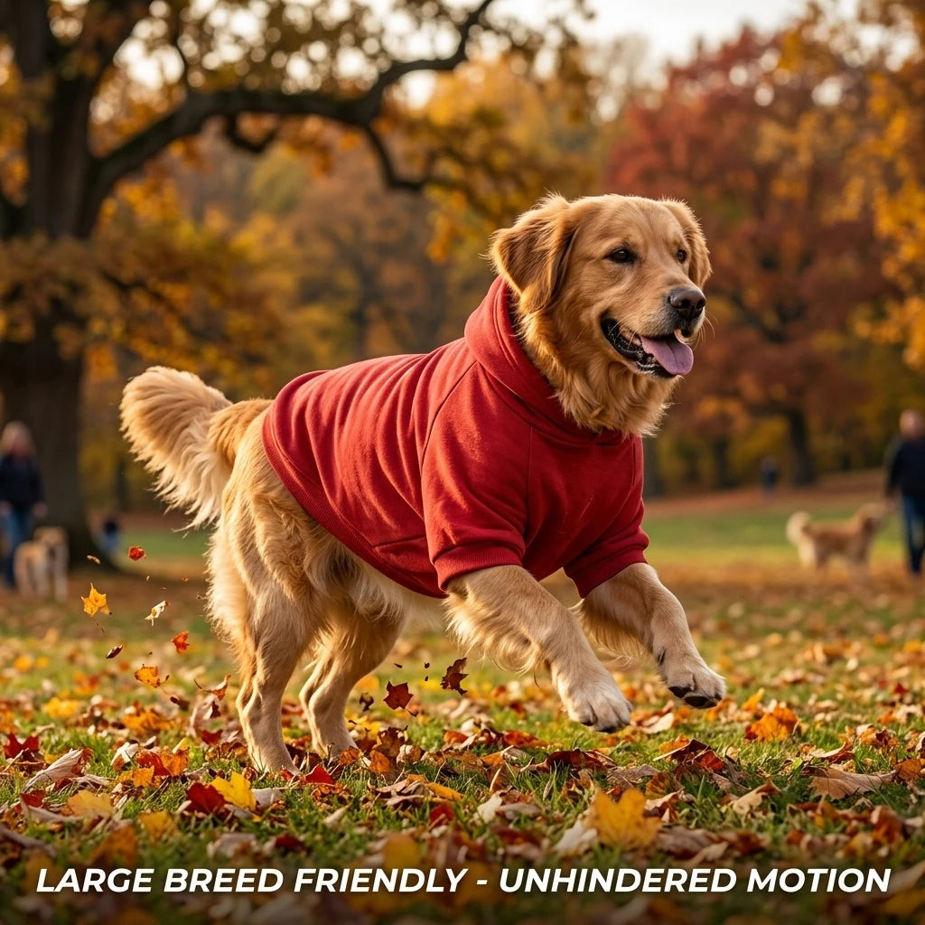 A golden retriever running through an autumn park with fallen leaves wearing a red fleece hoodie.