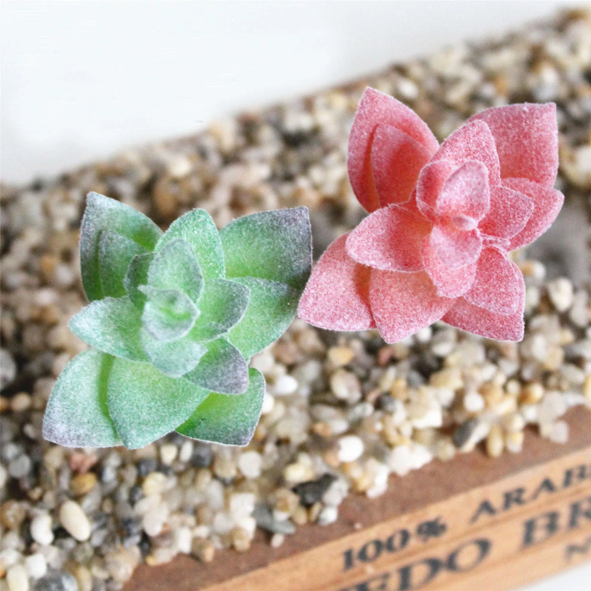 A small, pink succulent plant with green leaves rests on a textured surface.