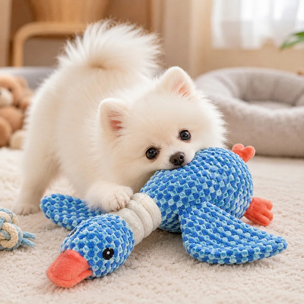 A fluffy white squeaker plush toy shaped like a blue duck lying on a light-colored carpet.
