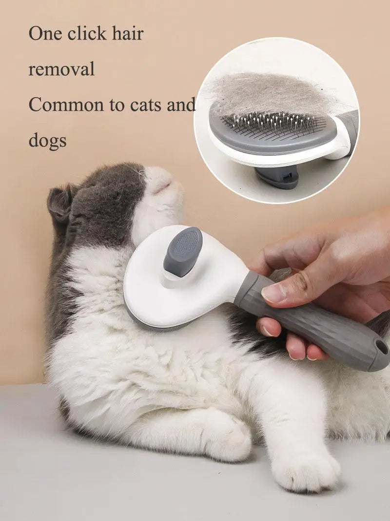 A hand is using a white grooming brush to remove hair from a cat, demonstrating one-click hair removal.
