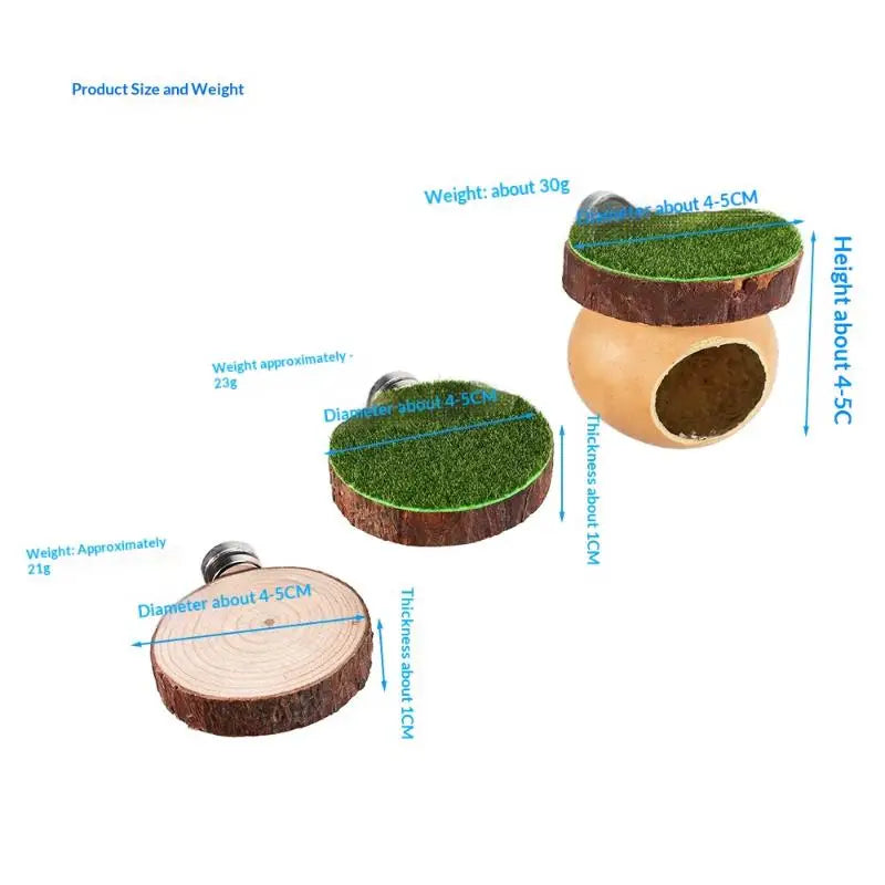 Magnetic Spider Hide Cave for Jumping Spider Enclosures
